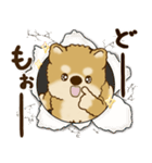 柴犬さん 2025 「リアクション2」（個別スタンプ：13）