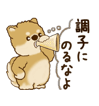 柴犬さん 2025 「リアクション2」（個別スタンプ：15）