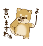 柴犬さん 2025 「リアクション2」（個別スタンプ：16）