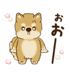 柴犬さん 2025 「リアクション2」（個別スタンプ：18）