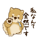柴犬さん 2025 「リアクション2」（個別スタンプ：19）