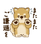 柴犬さん 2025 「リアクション2」（個別スタンプ：20）