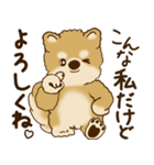 柴犬さん 2025 「リアクション2」（個別スタンプ：21）