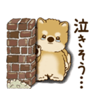 柴犬さん 2025 「リアクション2」（個別スタンプ：23）