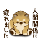 柴犬さん 2025 「リアクション2」（個別スタンプ：24）