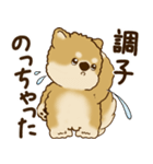 柴犬さん 2025 「リアクション2」（個別スタンプ：25）