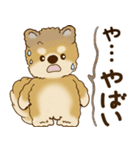柴犬さん 2025 「リアクション2」（個別スタンプ：26）