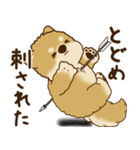 柴犬さん 2025 「リアクション2」（個別スタンプ：28）
