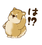柴犬さん 2025 「リアクション2」（個別スタンプ：30）