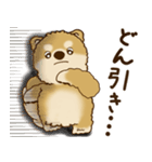 柴犬さん 2025 「リアクション2」（個別スタンプ：31）