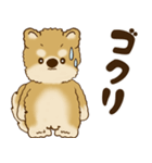 柴犬さん 2025 「リアクション2」（個別スタンプ：32）