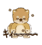柴犬さん 2025 「リアクション2」（個別スタンプ：35）