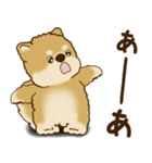 柴犬さん 2025 「リアクション2」（個別スタンプ：37）