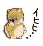 柴犬さん 2025 「リアクション2」（個別スタンプ：38）