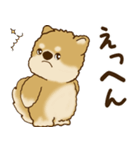 柴犬さん 2025 「リアクション2」（個別スタンプ：39）