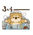 柴犬さん 2025 「リアクション2」（個別スタンプ：40）