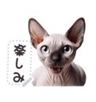 無毛の猫は毛ある ☆ メッセージステッカー（個別スタンプ：3）
