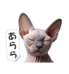 無毛の猫は毛ある ☆ メッセージステッカー（個別スタンプ：4）
