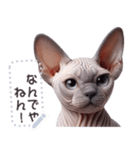 無毛の猫は毛ある ☆ メッセージステッカー（個別スタンプ：5）