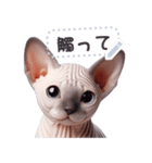 無毛の猫は毛ある ☆ メッセージステッカー（個別スタンプ：6）