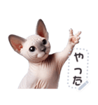 無毛の猫は毛ある ☆ メッセージステッカー（個別スタンプ：7）