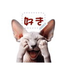 無毛の猫は毛ある ☆ メッセージステッカー（個別スタンプ：10）