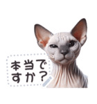 無毛の猫は毛ある ☆ メッセージステッカー（個別スタンプ：11）