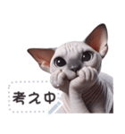 無毛の猫は毛ある ☆ メッセージステッカー（個別スタンプ：13）