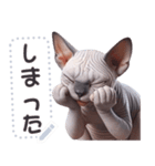 無毛の猫は毛ある ☆ メッセージステッカー（個別スタンプ：14）