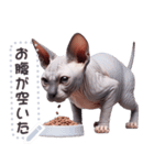 無毛の猫は毛ある ☆ メッセージステッカー（個別スタンプ：15）