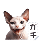 無毛の猫は毛ある ☆ メッセージステッカー（個別スタンプ：16）