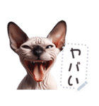 無毛の猫は毛ある ☆ メッセージステッカー（個別スタンプ：17）