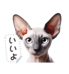 無毛の猫は毛ある ☆ メッセージステッカー（個別スタンプ：24）