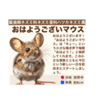 架空動物生き物図鑑（個別スタンプ：2）