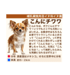 架空動物生き物図鑑（個別スタンプ：3）