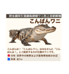 架空動物生き物図鑑（個別スタンプ：4）
