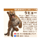 架空動物生き物図鑑（個別スタンプ：5）