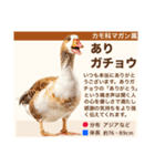 架空動物生き物図鑑（個別スタンプ：6）