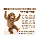架空動物生き物図鑑（個別スタンプ：8）