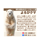 架空動物生き物図鑑（個別スタンプ：9）