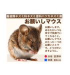 架空動物生き物図鑑（個別スタンプ：10）