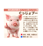 架空動物生き物図鑑（個別スタンプ：12）