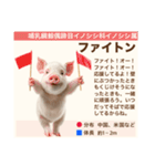 架空動物生き物図鑑（個別スタンプ：13）