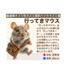 架空動物生き物図鑑（個別スタンプ：17）