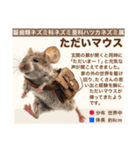 架空動物生き物図鑑（個別スタンプ：19）