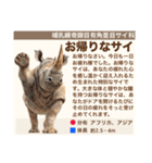 架空動物生き物図鑑（個別スタンプ：20）