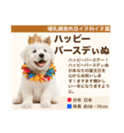 架空動物生き物図鑑（個別スタンプ：21）