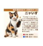 架空動物生き物図鑑（個別スタンプ：27）