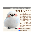 架空動物生き物図鑑（個別スタンプ：28）