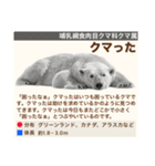架空動物生き物図鑑（個別スタンプ：31）